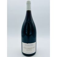 Domain Jean-Yves Bizot Vosne Romanée Les Jachees 2007 Magnum